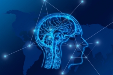 Тематическая иллюстрация pixabay.com