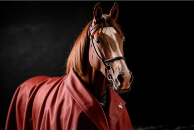 Тематическое фото ИИ Кандинский (18+).