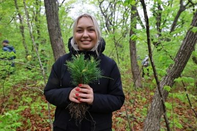 Экологическая акция &quotДень кедра&quot прошла во Владивостоке ИА PrimaMedia