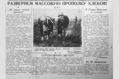 Вахта Победы: на Ставрополье борются с "порочным стилем" управления колхозами