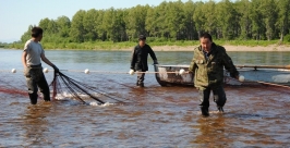 Более 9 тонн лососевых выловили рыбаки-любители с начала лососевой путины Пресс-служба Охотского территориального управления Росрыболовства