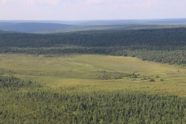 Пожароопасный сезон теперь действует во всех лесничествах Иркутской области