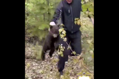 Новость дня