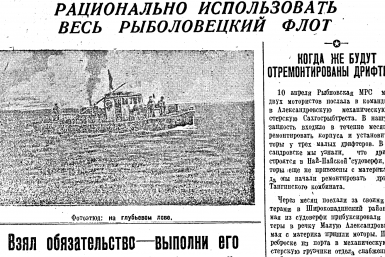 Вахта Победы: первые сосны на Сахалине и плохая подготовка к путине и севу