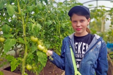 У "ПомидоРРо" появился арбузный вкус