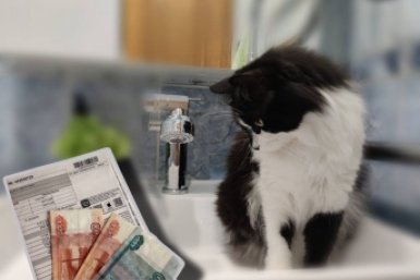 Только 5% россиян заплатят меньше за ЖКХ после июльского повышения, если ответят на 7/7