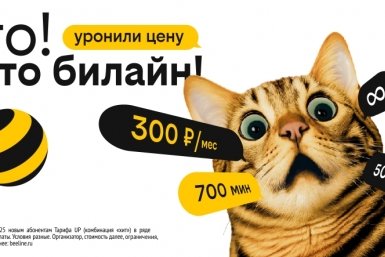 Билайн снизил цены для жителей Иркутска при новом подключении