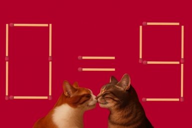 Головоломка ИА UssurMedia