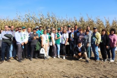Золотые поля Приморья: инновационные решения Syngenta покоряют Дальний Восток