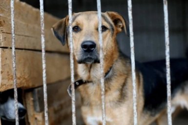 5705214.jpg?6eafd6cd5f6930b3b4cd48a2e167433a