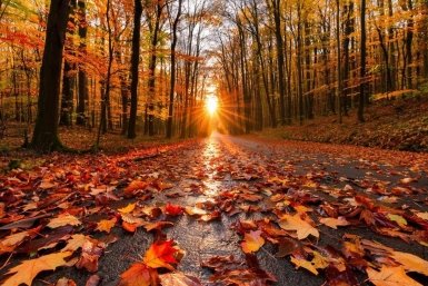 Фотоконкурс %22Золотая осень%22 запускает MagadanMedia