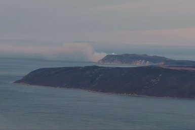 Новость дня