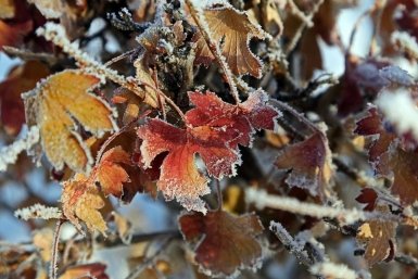 5727786.jpg?8321a2a250e93ed869b3556832eab562