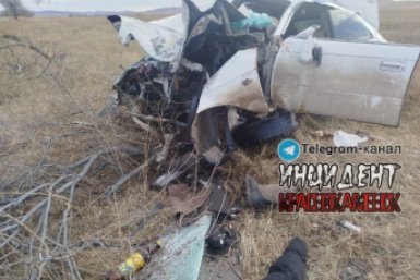 5737882.jpg?221cf8db7c0633946f740ade4faa2305