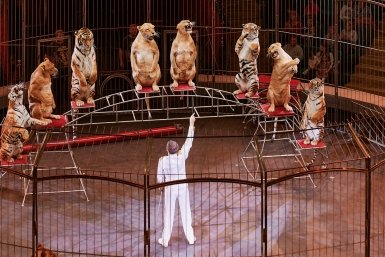 %22Там фокусник спичкою  - чирк, там клоун хлопушкою бах!%22 - %22Империя львиц%22 во Владивостоке