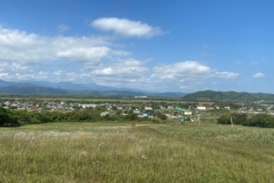 Новость дня