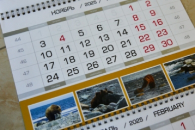 Новость дня