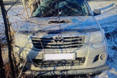 Новость дня