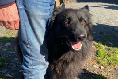 5755011.jpg?a0b34adaccca2ddf1ca6b483c34e6c54