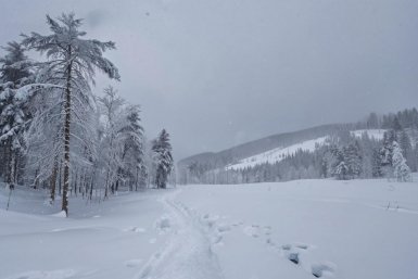 5761990.jpg?3663be0ca4993f8bd7fa1f9acb92ebf3