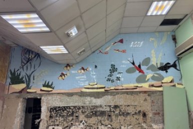 Советскую мозаику с рыбами нашли в бывшем зоомагазине в Ростове-на-Дону