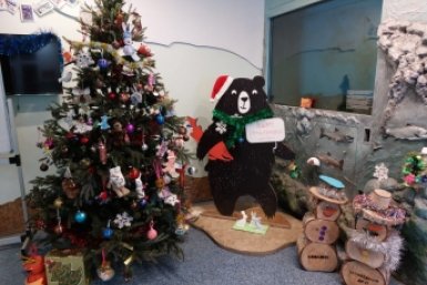 Новость дня