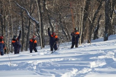 Новость дня