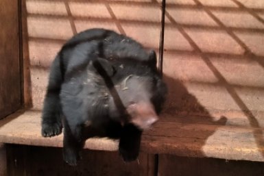 5769975.jpg?7da5d06b92231403735d7cdd5e0ca1fa