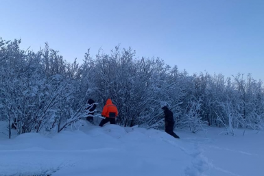 Новость дня