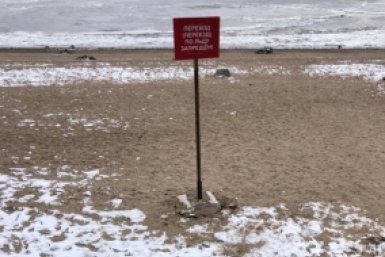 5772079.jpeg?44de61654f8761ed1fe9e29f5c09fa37