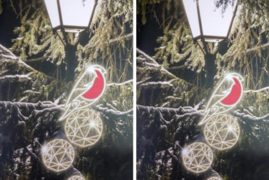 Омск к Новому году украсят светящиеся снегири за полмиллиона рублей