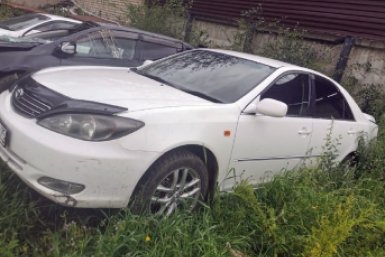 Новость дня