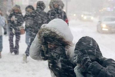 Новость дня