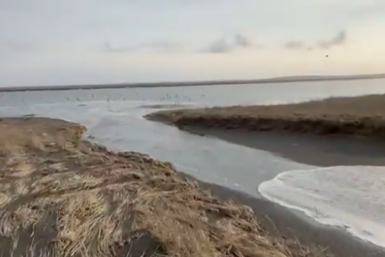 Новость дня