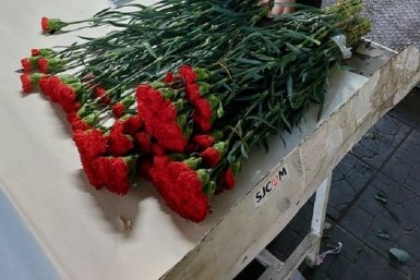 5785635.jpg?dc584f3b606c65ae50954c7b20cf1c47