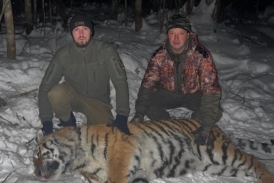 5786317.jpg?237757ccc0e619ce9e6e524ea5c1ddbd