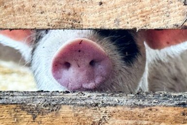 5787182.jpg?14de7374b4784f3561cb2dff73785533