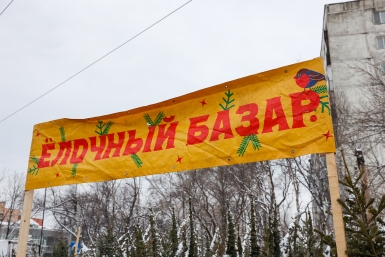 Ёлочные базары в Чите начнут работать с 15 декабря