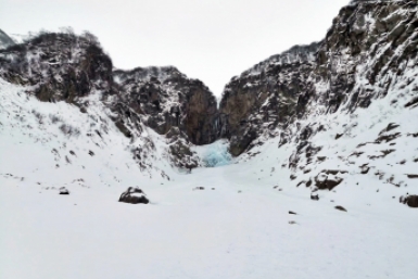 Новость дня