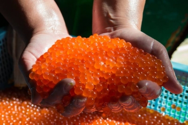 Новость дня