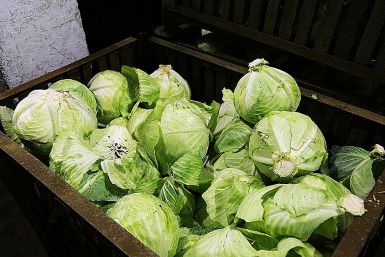 Капуста Мария Оленникова, ИА IrkutskMedia