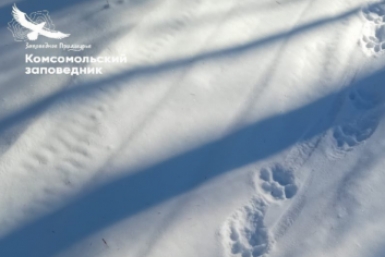 5793901.jpg?98e0454d4c3e69a88b2d6b057bf1b3d3