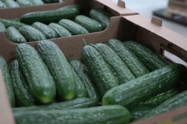 Новость дня