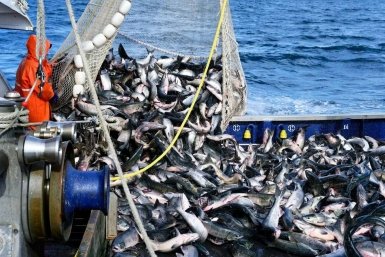 5798644.jpg?9ab4079d749b716bdcd8402d37280ba5