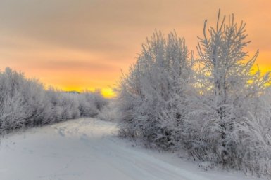 Новость дня