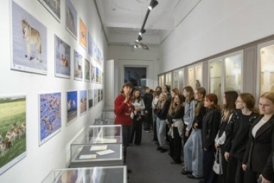 Фотовыставку дзеренов открыли в музее Читы