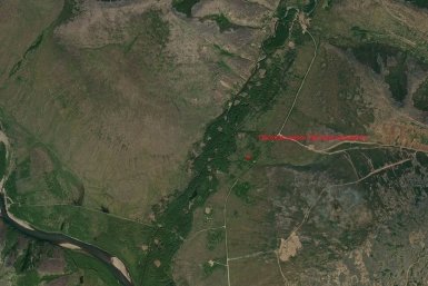 Новость дня