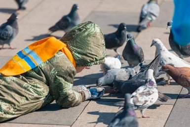 Зачем Владивостоку столько голубей: эксперт о городских птицах, которых хотят нормировать