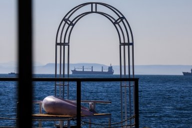 Новость дня