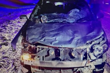 Новость дня